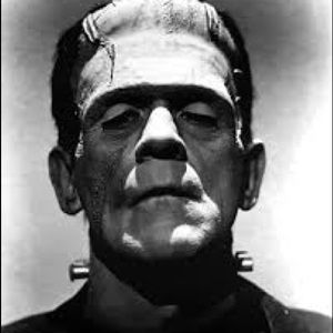 Meet your Posher, Makenzie